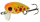 FTM Kahli Trout Hunter Mini 1,3g 2,2cm - Forellenwobbler gelb-orange mit roten Punkten UV